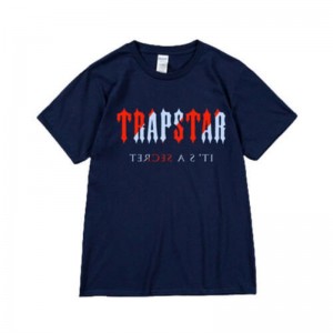 Blue Men's Trapstar It's a Secret Short Sleeve T Shirts USA | QL26-815