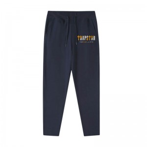 Blue Men's Trapstar It’s a Secret Streetwear Pants USA | HD06-643