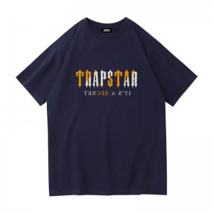 Blue Men's Trapstar Shinning Galaxy its a Secret T Shirts USA | KZ44-099