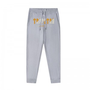 Grey Men's Trapstar It’s a Secret Streetwear Pants USA | VX10-373