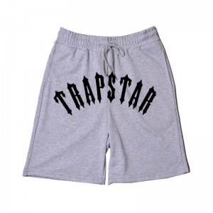 Grey Men's Trapstar Swim Shorts USA | ZX04-145